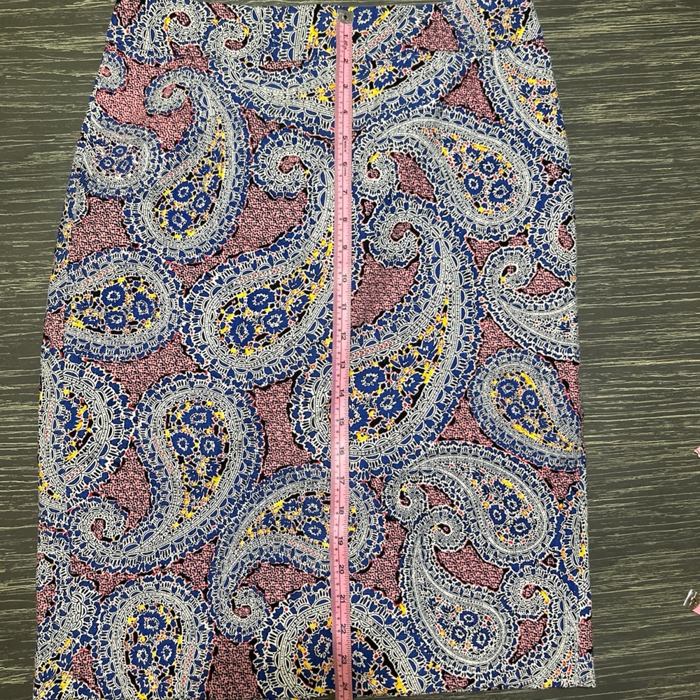 Paisley Print Women's Skirt